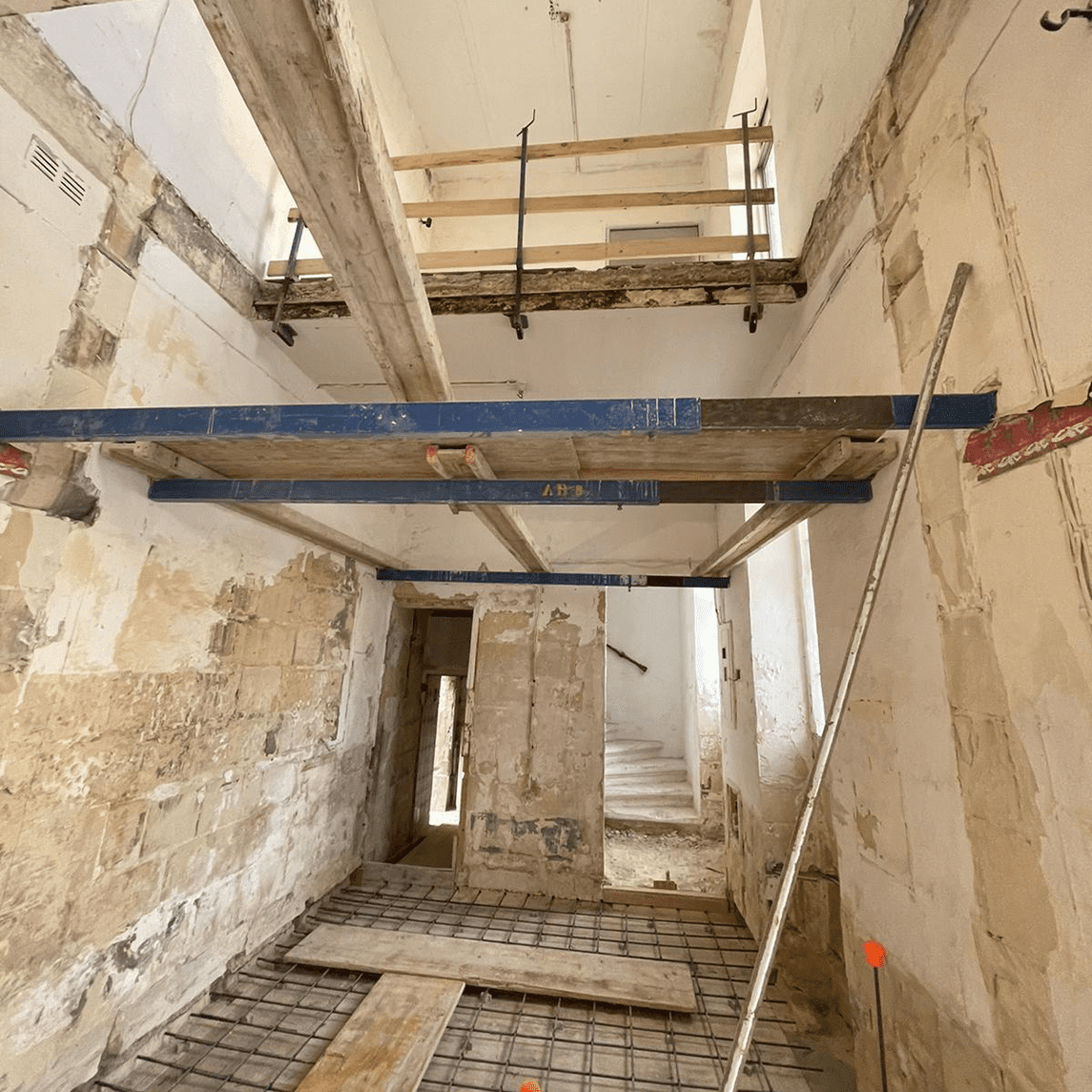 dartereza-photo2