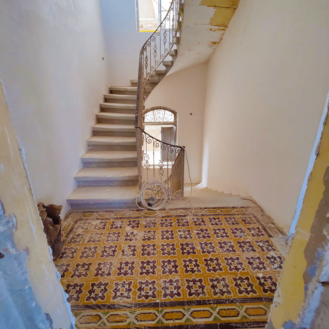 dartereza-photo3