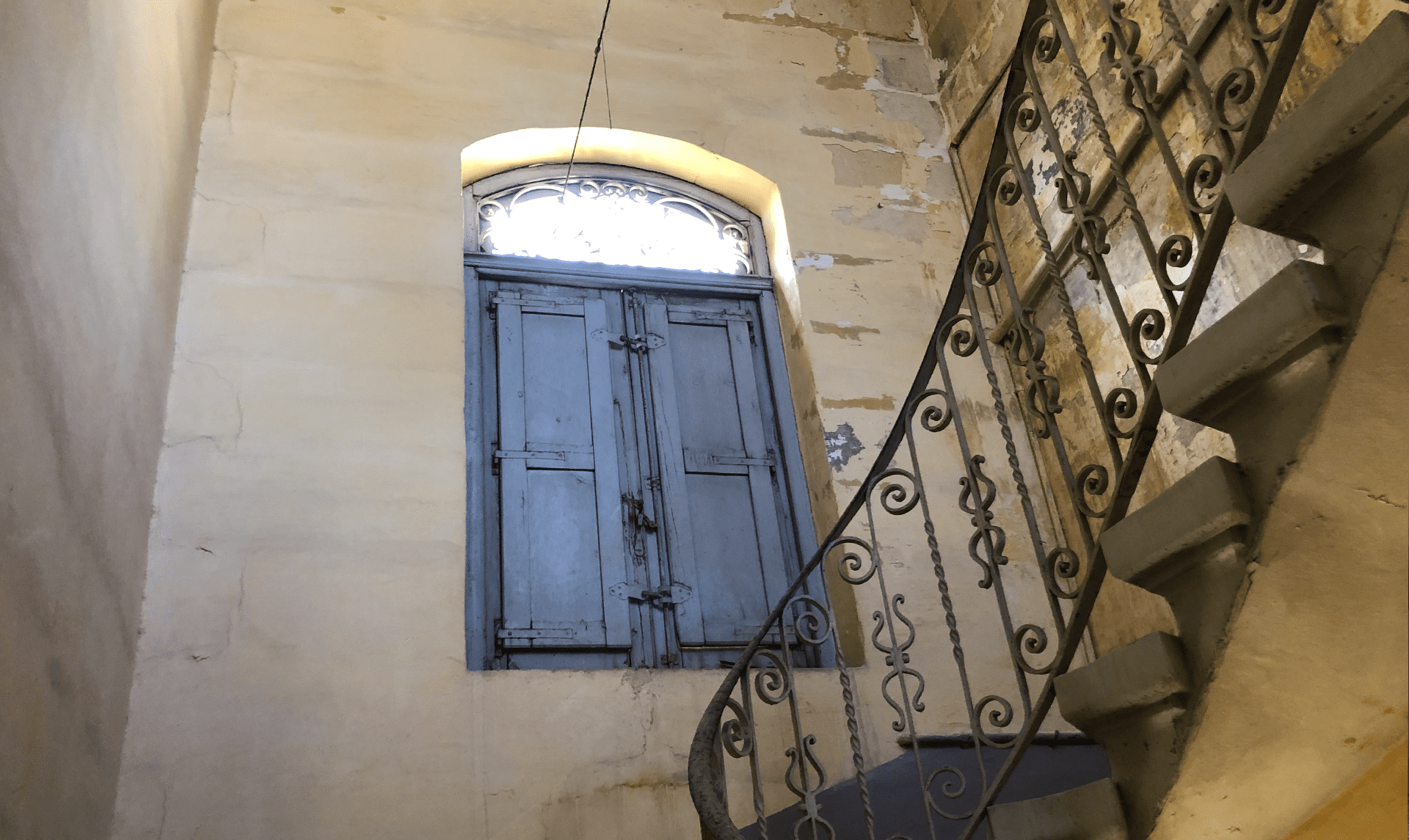 dartereza-photo4